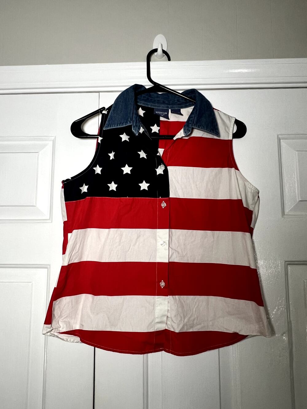 Mountain Lake American Flag tank